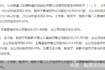 元老股东离场背后的皖通科技暗战