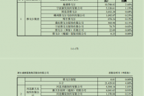 盛泰集团IPO不可回避的多面关联方