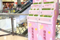 超亿元融资到手　迟到的速绿能否挑战“三电一兽”
