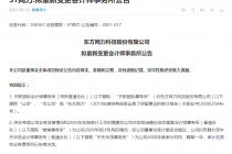 立案调查后遗症凸显 深圳堂堂遭ST网力“分手”
