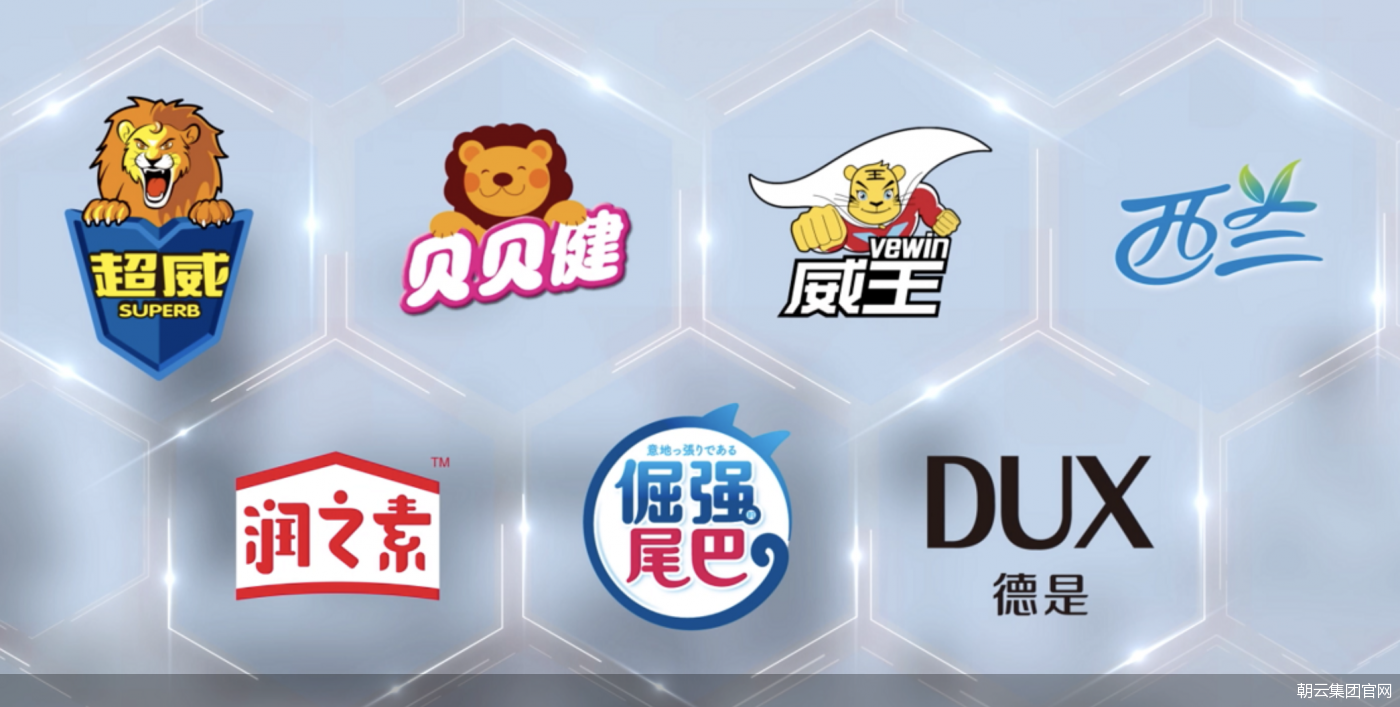 朝云集团官网
