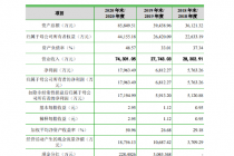 洁雅股份2020年营收激增背后：利洁时ENA贡献度超三成