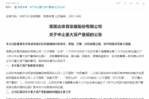 重组暂停！收购事项推进半年无果 莱茵体育业绩困局咋破