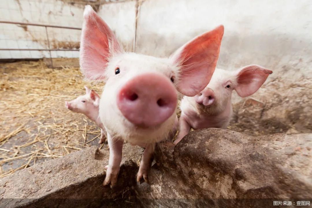 图片来源:壹图网