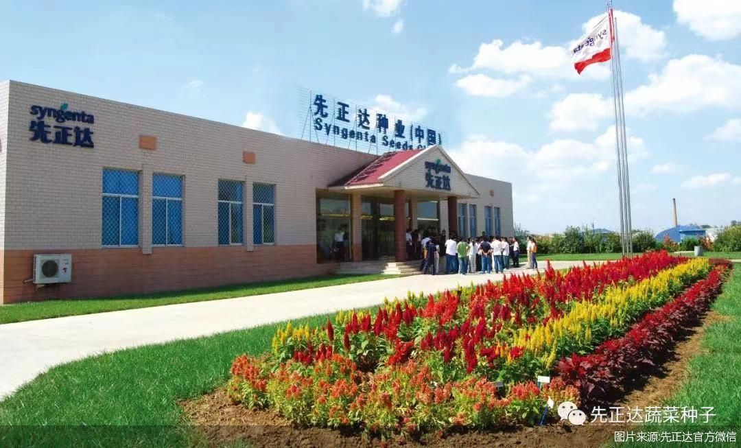 图片来源:先正达官方微信