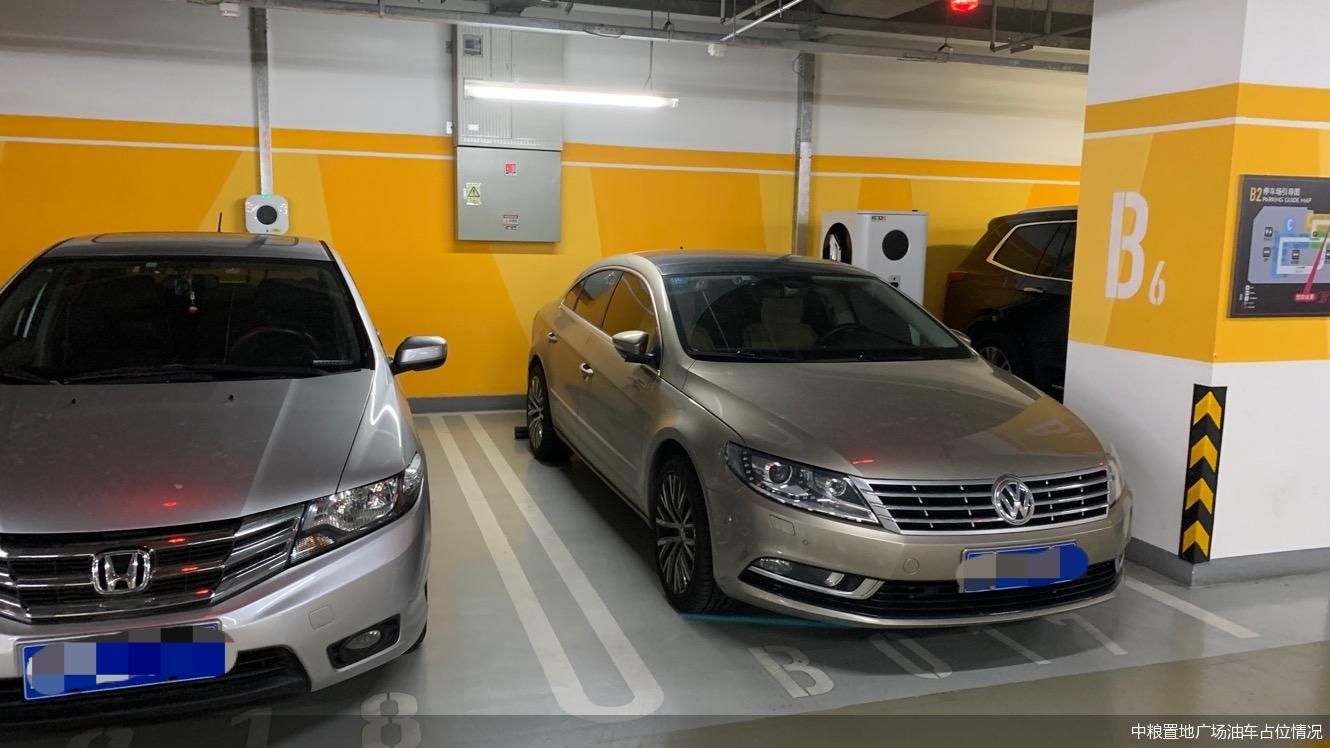 调查求解占位不充电停车新规遇上执行难