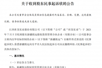 世龙实业遭股东起诉背后 内斗不断 内控存重大缺陷