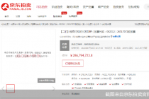 溢价1.09亿成交！停牌前股东持股被二拍 川发龙蟒遭多人“疯抢”