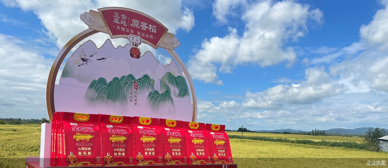 企业供图