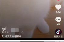 微信私聊时可以访问外部链接了,互联网互联互通正在进行   