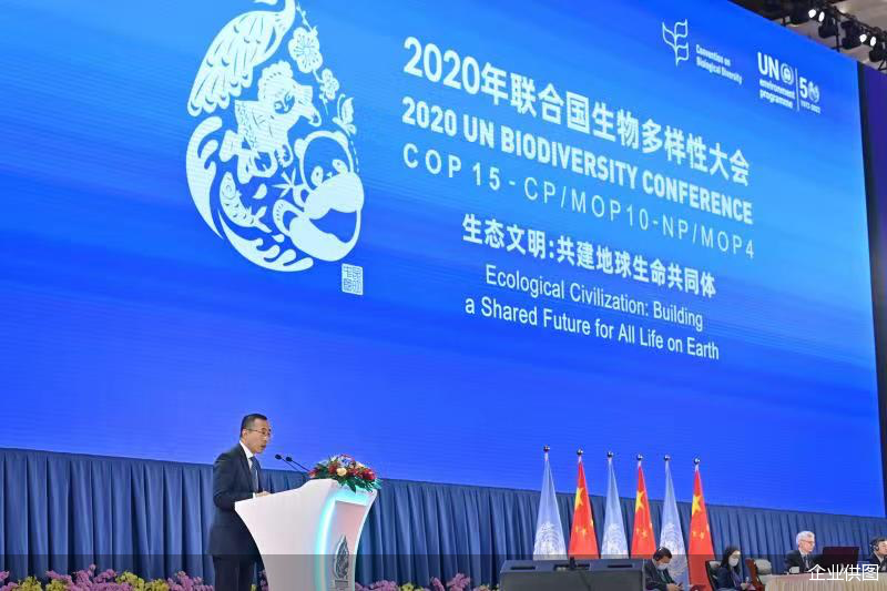 企业供图