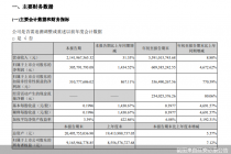 因祸得福！曾经的“包袱”资产成摇钱树  延安必康业绩亮眼  