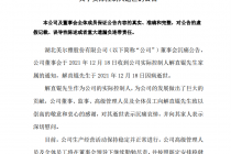 中植系由解直锟外甥刘洋代管！旗下8家A股上市公司未来新主是谁