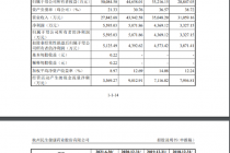 21金维他生产商IPO背后：上市前分掉近3倍利润、重营销轻研发
