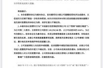 高新区集团有意向成为搜于特重整投资人