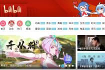 B站2021年营收194亿元