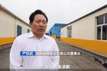插旗菜业董事长道歉