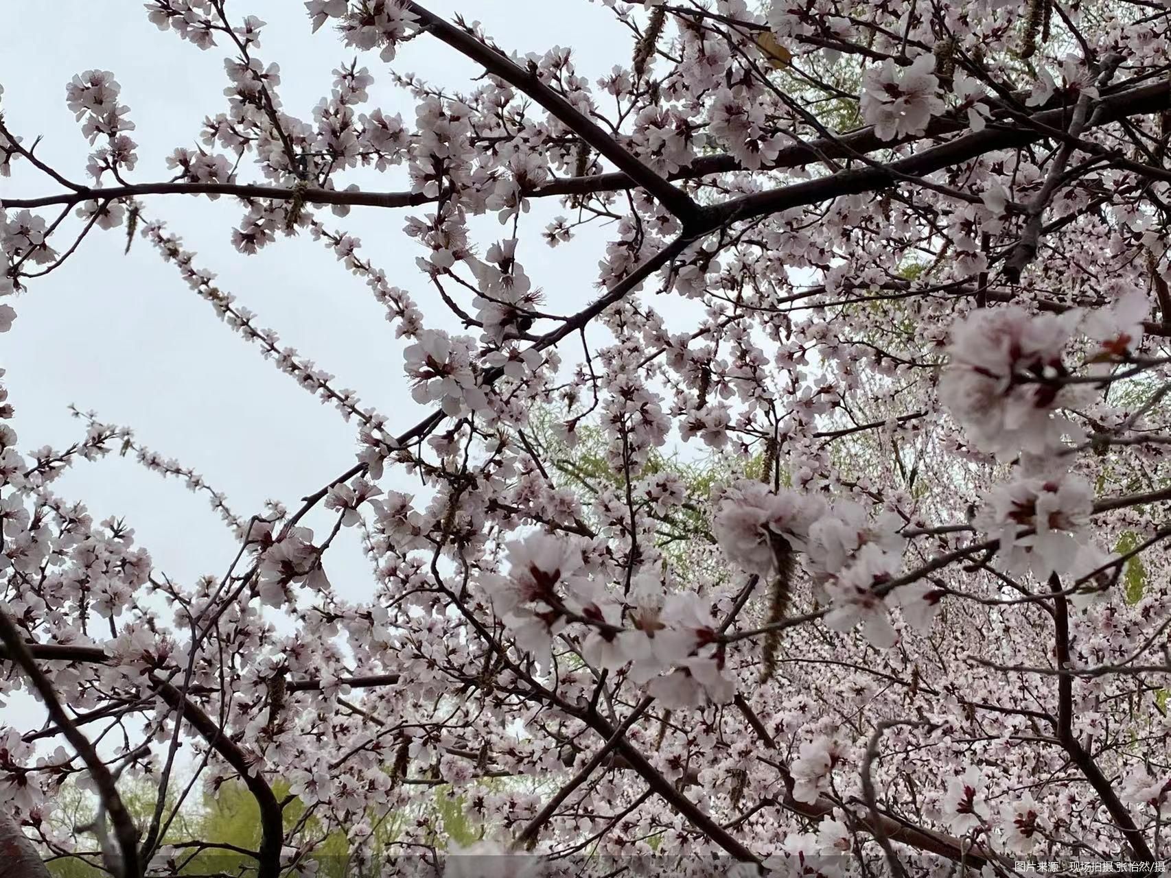 ͼƬԴֳ Ȼ/