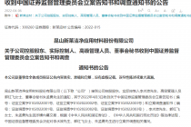 清明假期炸雷！三倍大牛股突曝利空 66岁实控人、董秘等被集体立案 