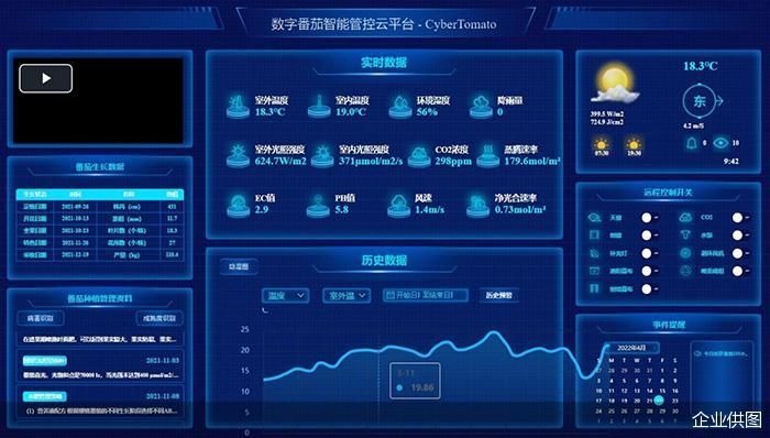 解密番茄“自动”生长 “90后”们有一套种地妙招 
