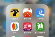 “起点”20周年背后：网络文学站在十字路口
