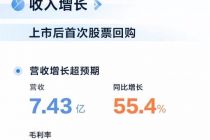 知乎转身，广告让位第一大营收来源，但亏损创新高