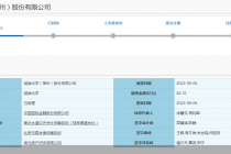 又有大额IPO！诚瑞光学拟募资82.1亿元  系这家港股公司子公司