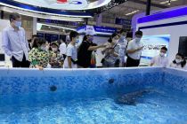2022世界机器人大会开幕