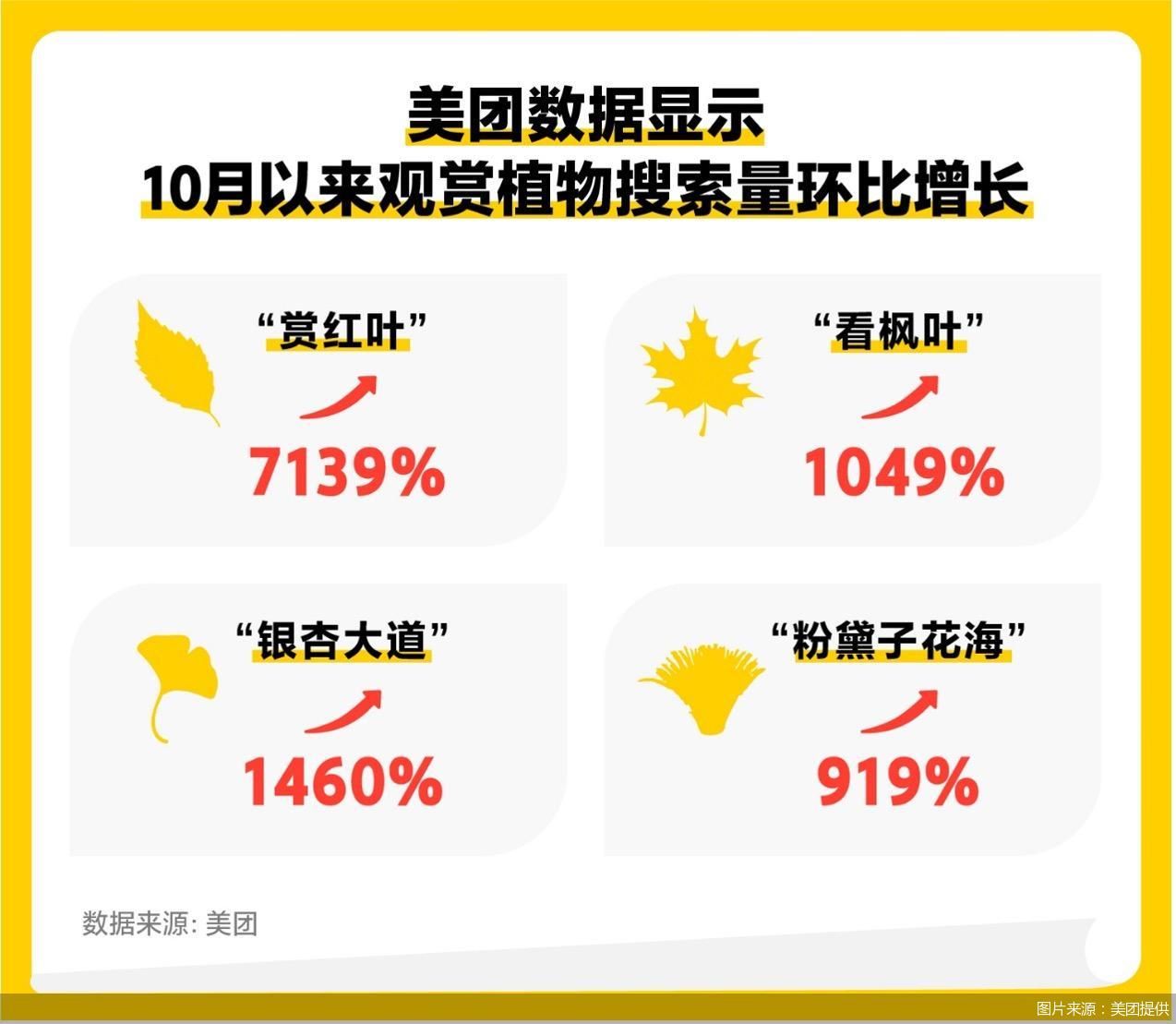 图片来源：美团提供