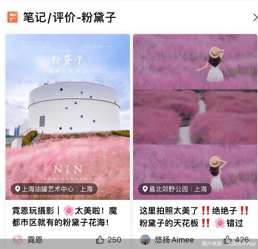 图片来源：大众点评App