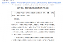 深度| “95后”前财经女记者易主国立科技谜局