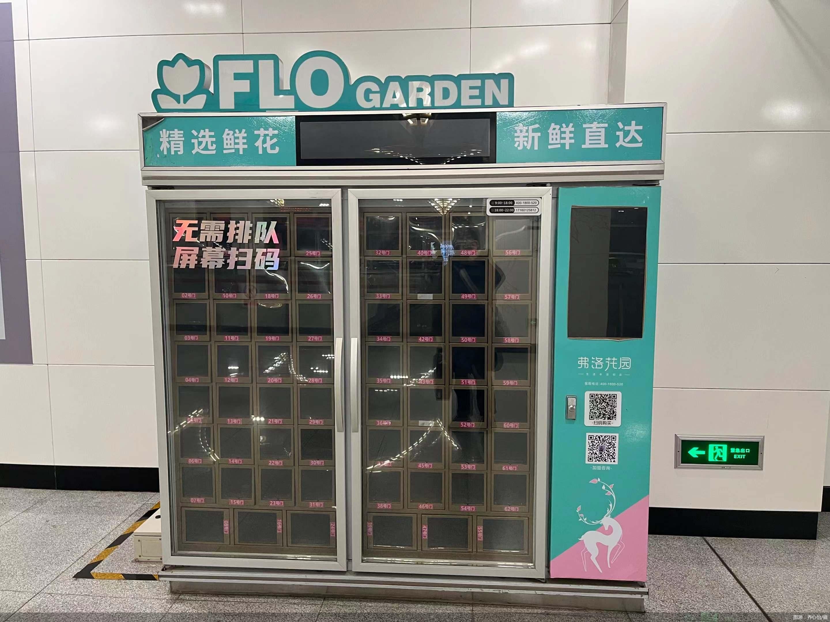 图源:乔心怡/摄