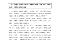 实控人带人冲击董事会   致使3名员工负伤！越博动力上演“全武行”
