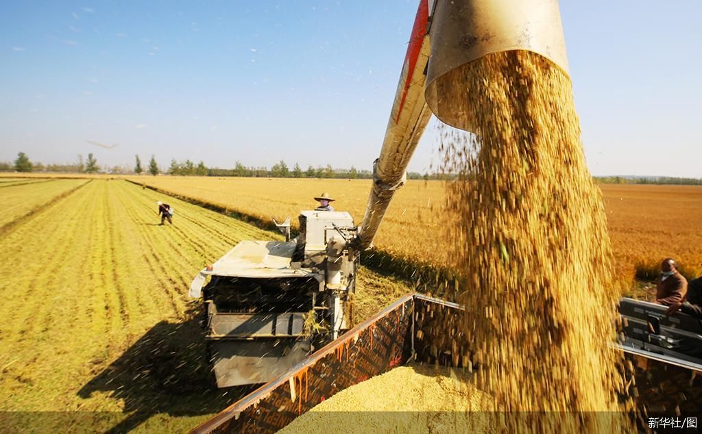 新华社/图