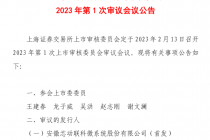 新上市委“首秀”敲定    这五家公司迎考