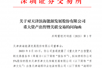 滨海能源出售重要子公司背后的疑问