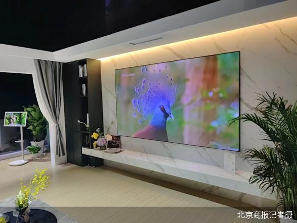 北京商报记者摄