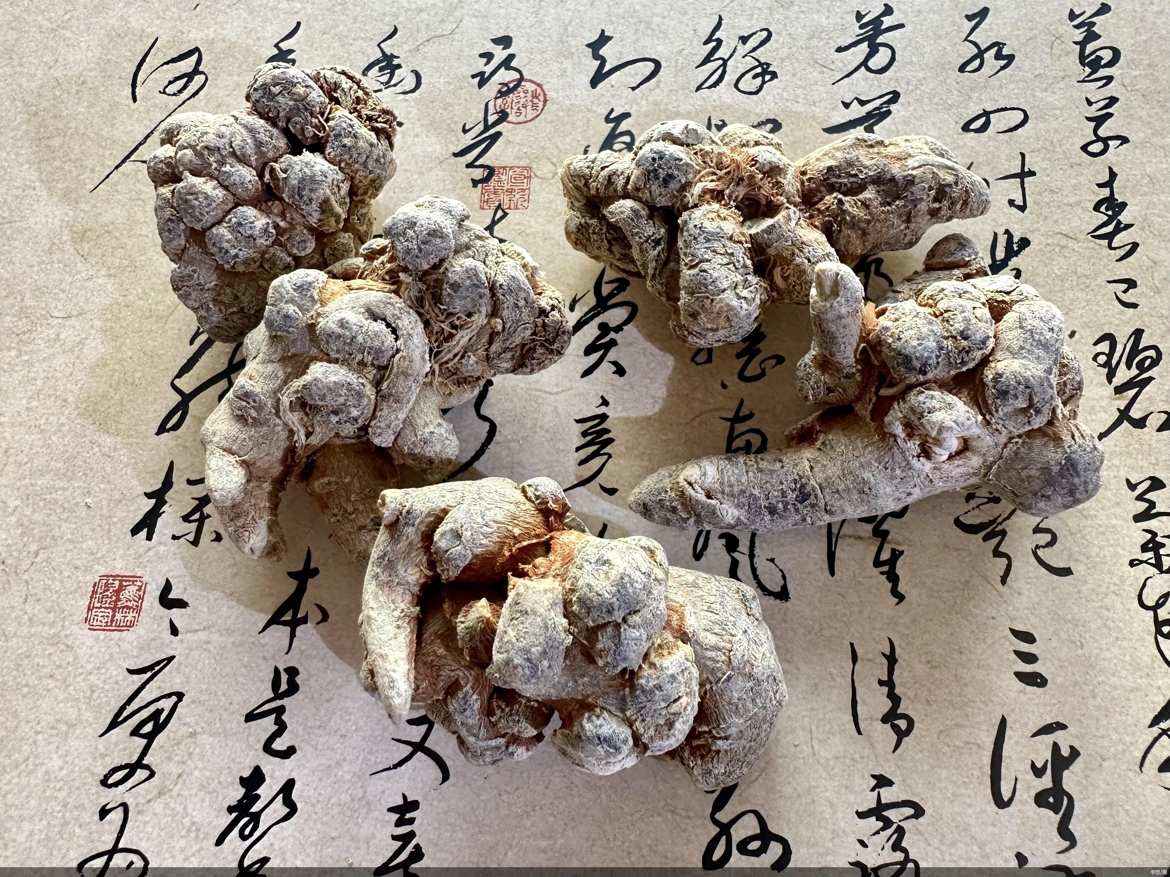 李想/摄