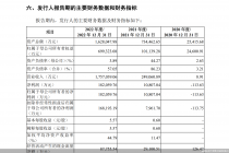 营收暴增近20万倍！高景太阳能高估值下风险暗存