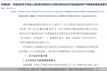 上交所六问华嵘控股再跨界