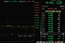 历史首只！蓝盾转退进入退市整理期  首日大跌逾七成
