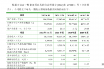 鼎龙科技的IPO供应商迷局