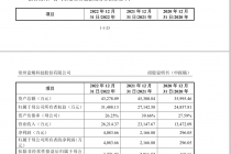 实控人大额对外担保 富烯科技闯关科创板有戏吗
