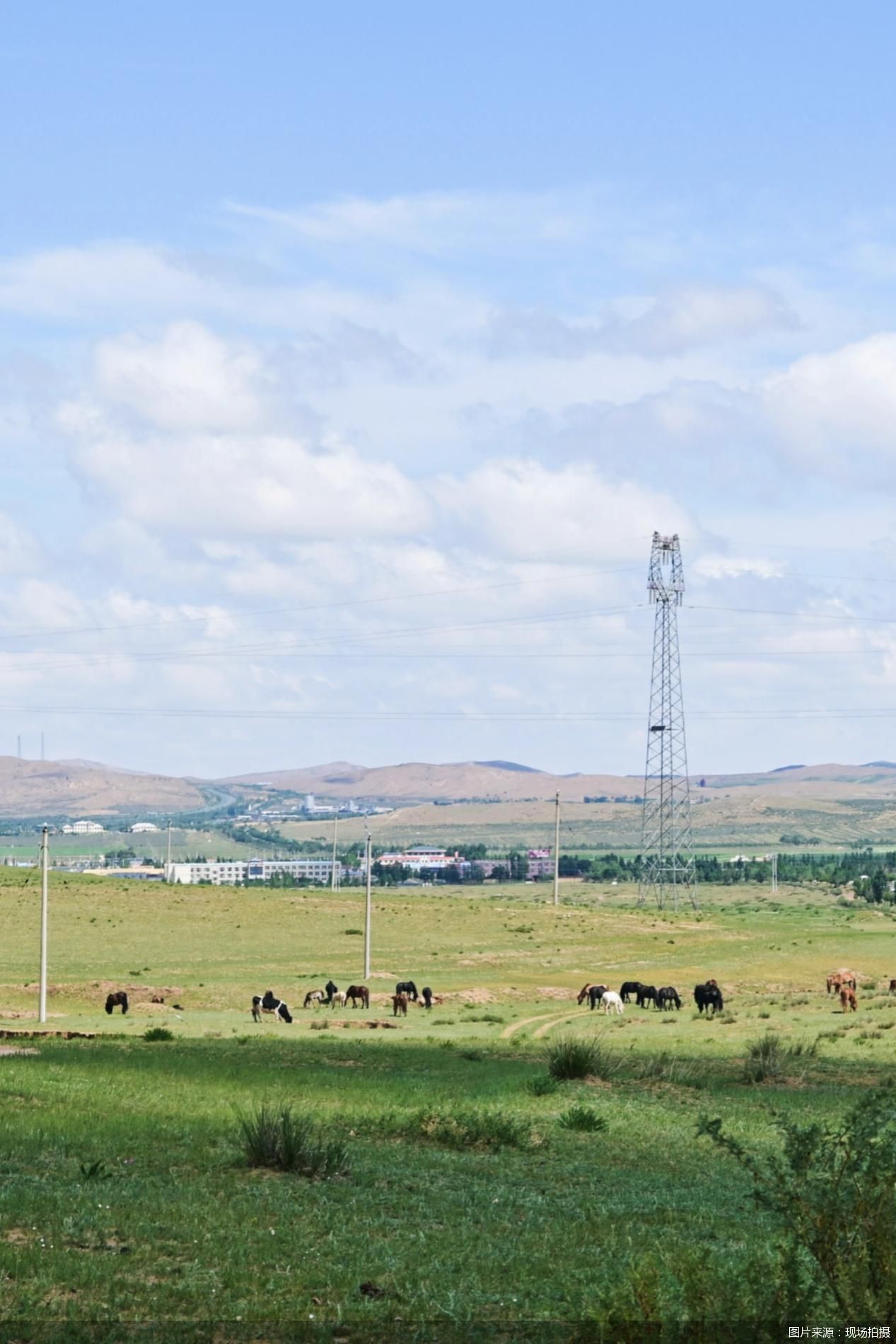 图片来源：现场拍摄