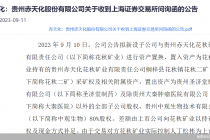 卖药买煤  赤天化资本运作“闪电”收函