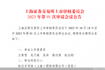 10月首家！灿芯股份下周上会 深度绑定中芯国际  