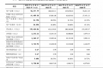 IPO“卡壳”！云汉芯城排队近两年时间 上市难在哪