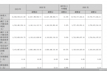 长春高新2023年年报AB面