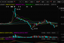 净利连亏 奥雅股份上市后业绩走下坡路