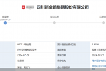 定增两度“瘦身”终获受理，新金路年内路不顺